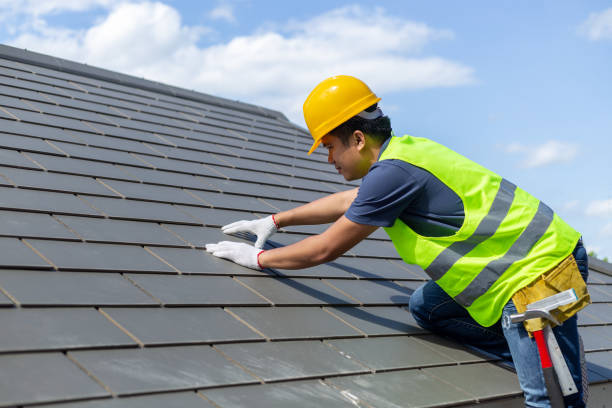 Best Roof Gutter Cleaning  in Rockton, IL