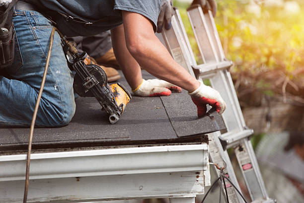 Roof Gutter Cleaning in Rockton, IL